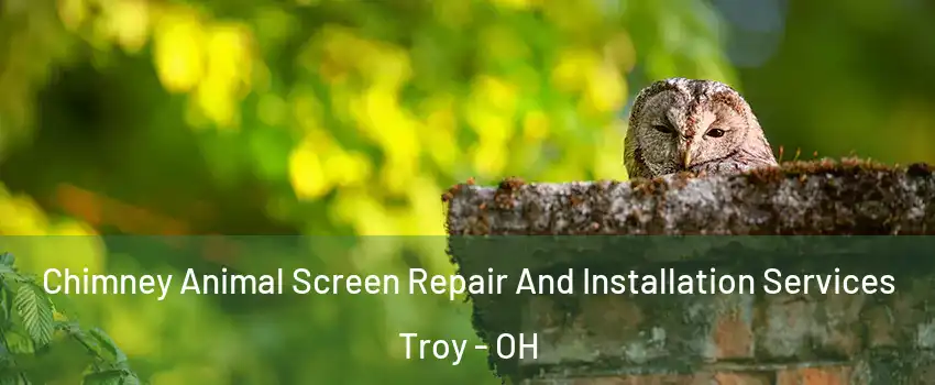  Chimney Animal Screen Repair And Installation Services Troy - OH