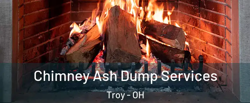  Chimney Ash Dump Services Troy - OH