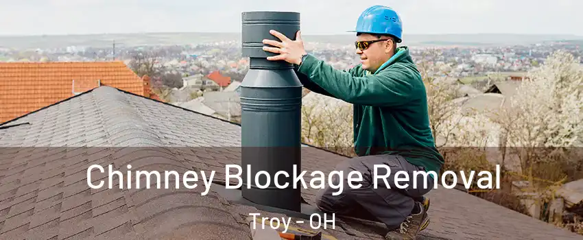  Chimney Blockage Removal Troy - OH