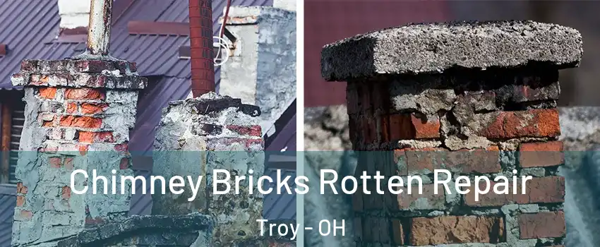  Chimney Bricks Rotten Repair Troy - OH