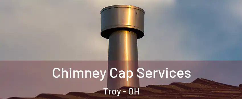  Chimney Cap Services Troy - OH