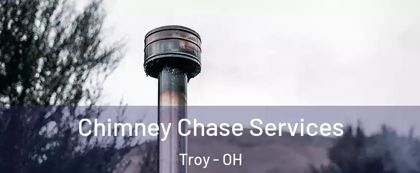  Chimney Chase Services Troy - OH