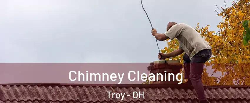  Chimney Cleaning Troy - OH