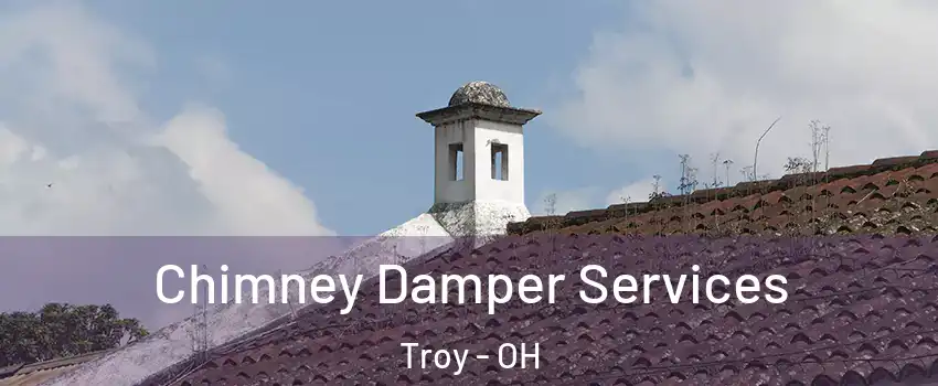  Chimney Damper Services Troy - OH