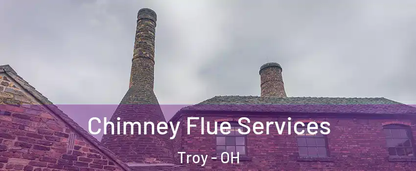  Chimney Flue Services Troy - OH