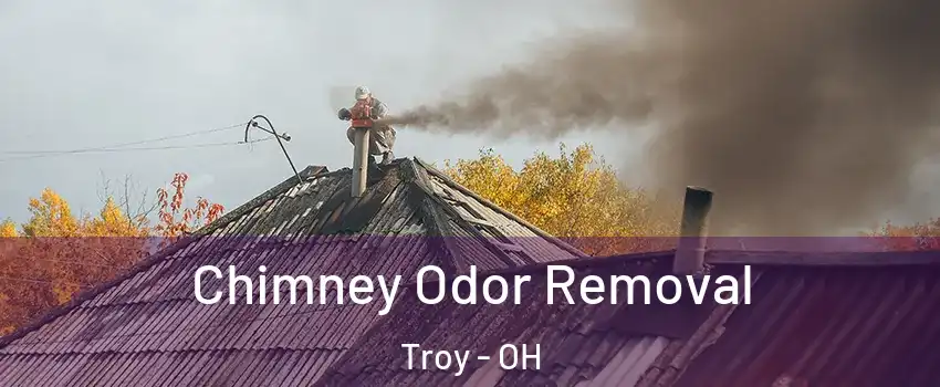  Chimney Odor Removal Troy - OH