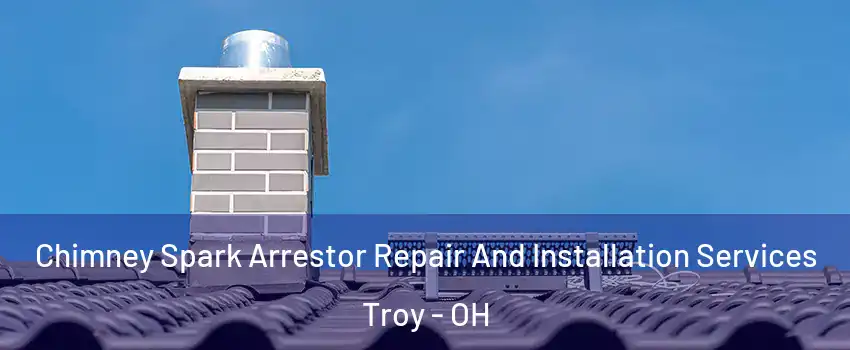  Chimney Spark Arrestor Repair And Installation Services Troy - OH