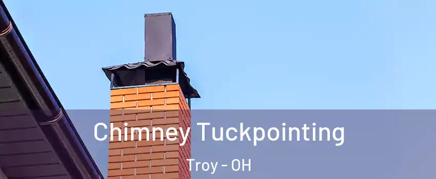  Chimney Tuckpointing Troy - OH