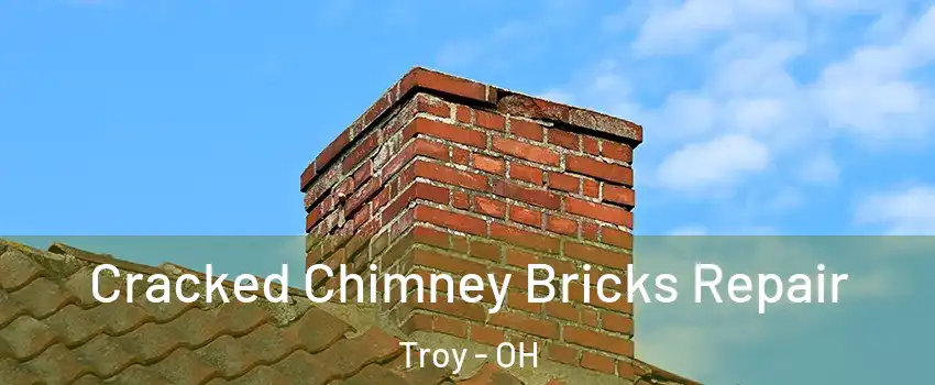  Cracked Chimney Bricks Repair Troy - OH