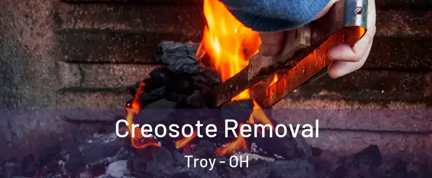  Creosote Removal Troy - OH
