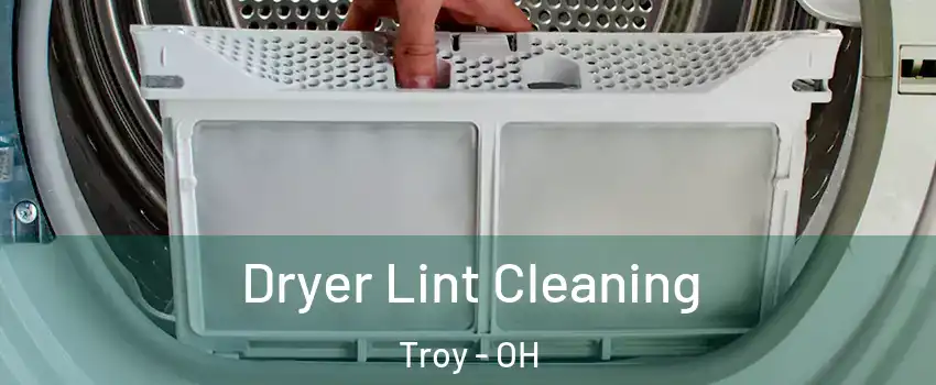  Dryer Lint Cleaning Troy - OH