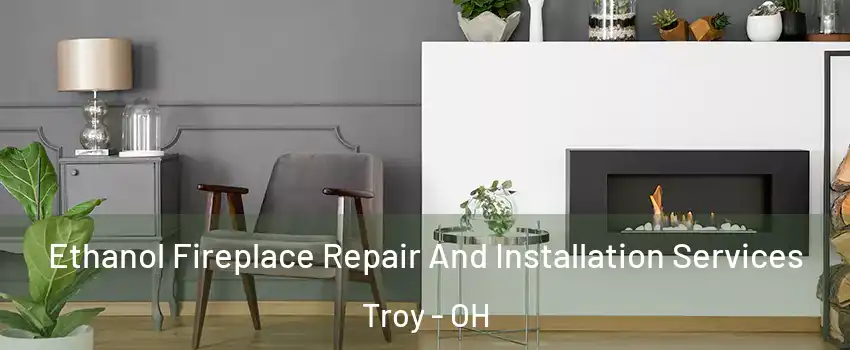  Ethanol Fireplace Repair And Installation Services Troy - OH