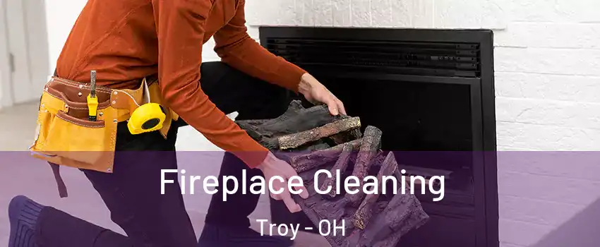  Fireplace Cleaning Troy - OH