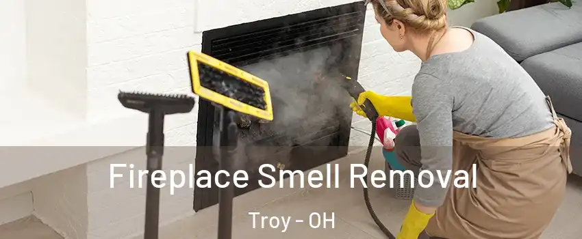  Fireplace Smell Removal Troy - OH