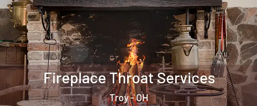  Fireplace Throat Services Troy - OH