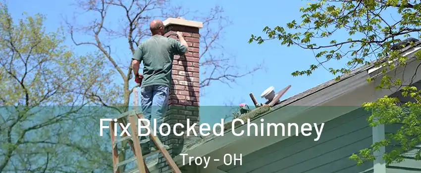  Fix Blocked Chimney Troy - OH