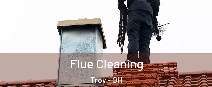  Flue Cleaning Troy - OH