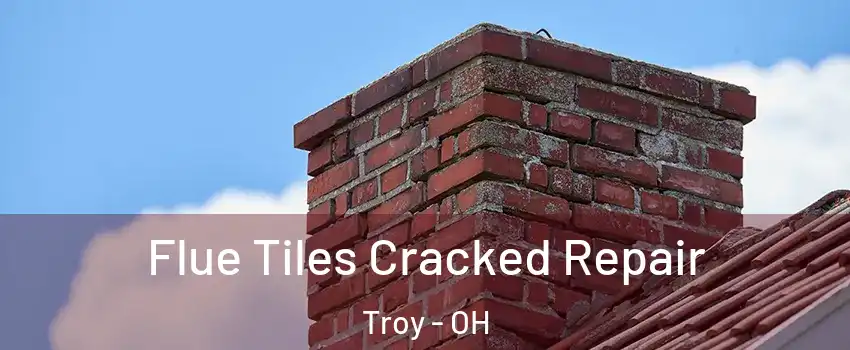  Flue Tiles Cracked Repair Troy - OH