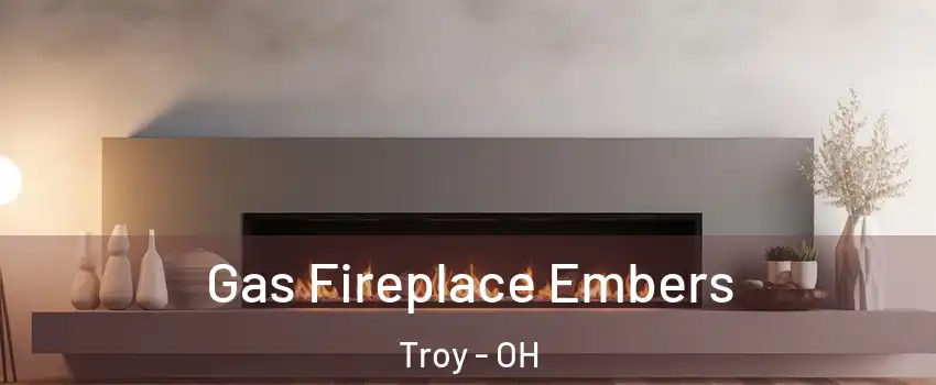  Gas Fireplace Embers Troy - OH