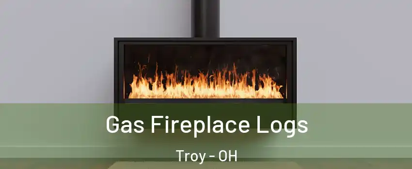  Gas Fireplace Logs Troy - OH