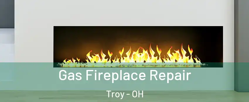  Gas Fireplace Repair Troy - OH
