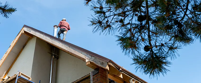Birds Removal Contractors from Chimney in Troy, OH