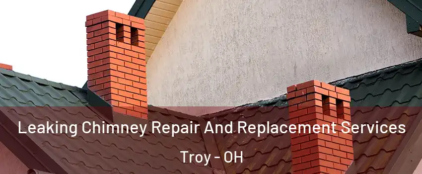  Leaking Chimney Repair And Replacement Services Troy - OH
