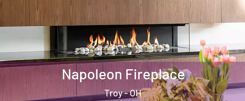  Napoleon Fireplace Troy - OH