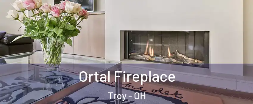  Ortal Fireplace Troy - OH